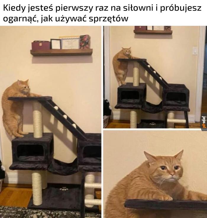 Nie zapytam, bo się wstydzę