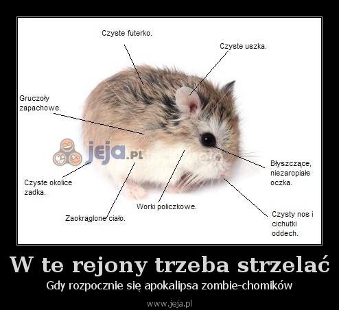 W te rejony trzeba strzelać