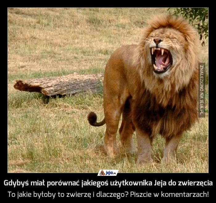 Gdybyś miał porównać jakiegoś użytkownika Jeja do zwierzęcia