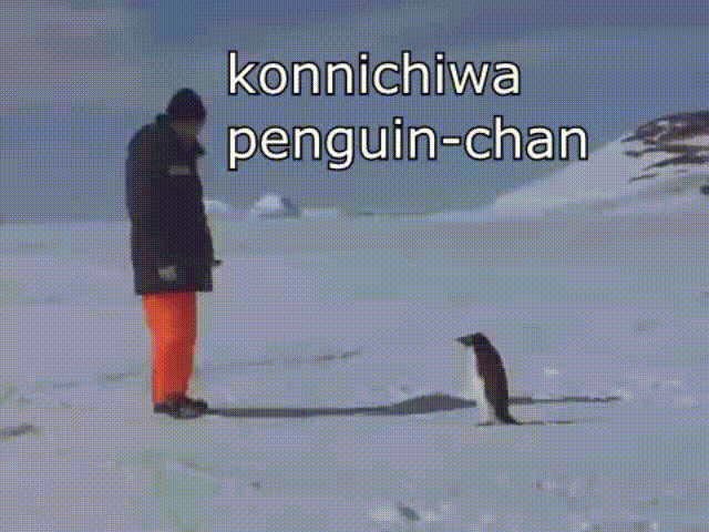 Śmiertelny mistrz pingwin