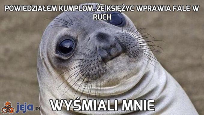 Powiedziałem kumplom, że księżyc wprawia fale w ruch
