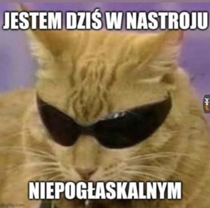 Bez kija nie podchodź