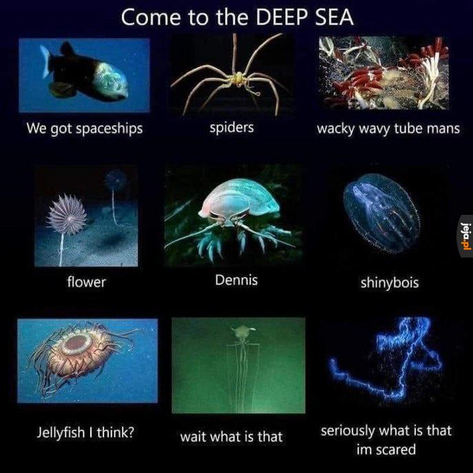 Strzeż się głębi oceanów