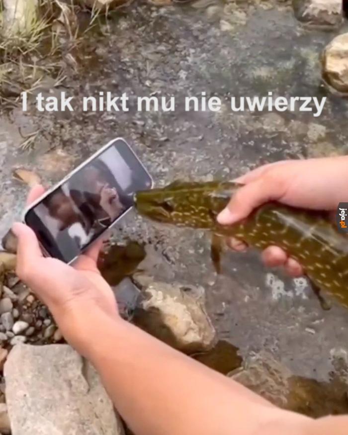 Prędzej zawiną go w kaftan