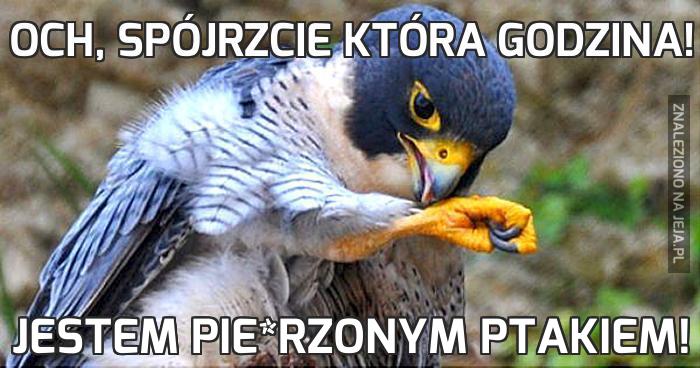 Och, spójrzcie która godzina!