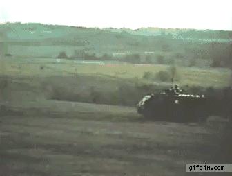 Kiedy widzę w domu pająka