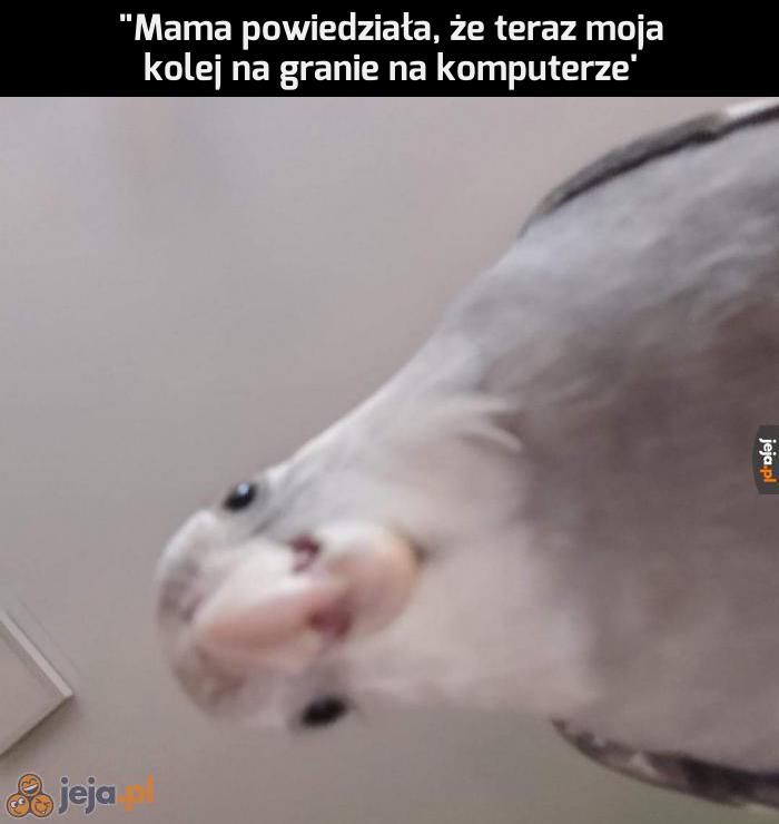 Moja kolej, braciszku