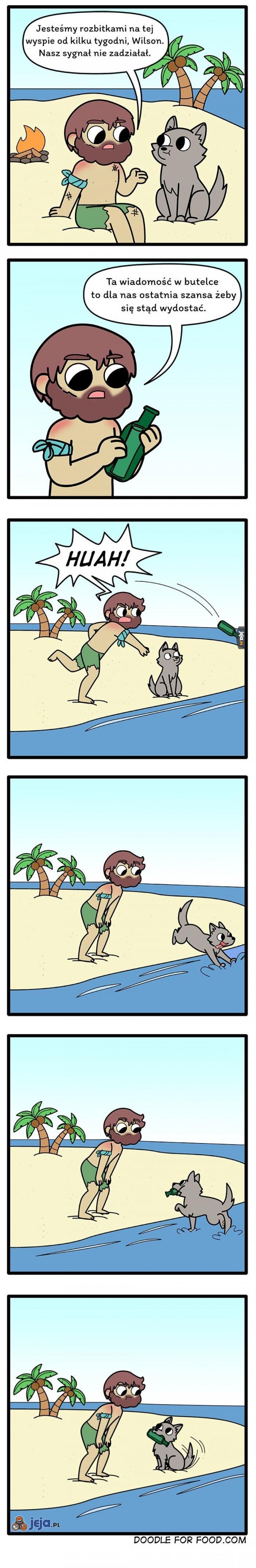 W ten sposób do niczego nie dojdziemy, Wilsonie