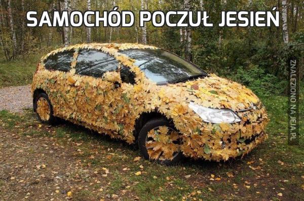 Samochód poczuł jesień