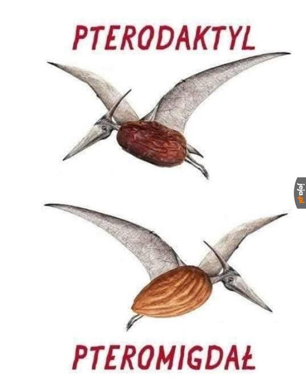 Fru fru