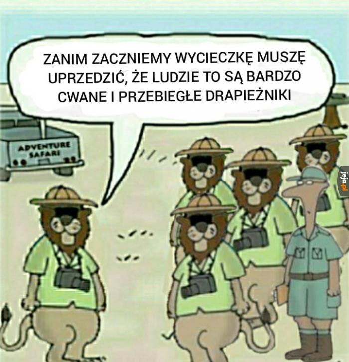 Uważajcie na ludzi, drogie lwy
