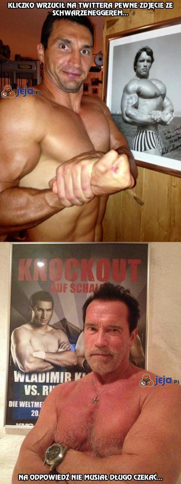 Kliczko i Schwarzenegger