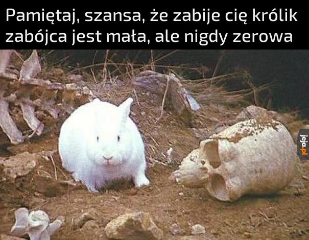 Mony Python bawi i uczy