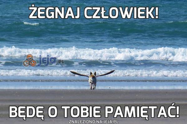 Żegnaj człowiek!