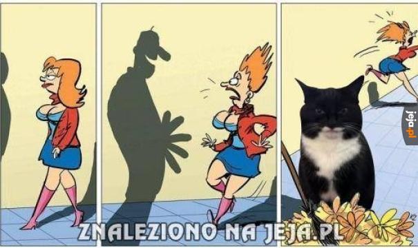 O dziwo nie angora lecz jeja