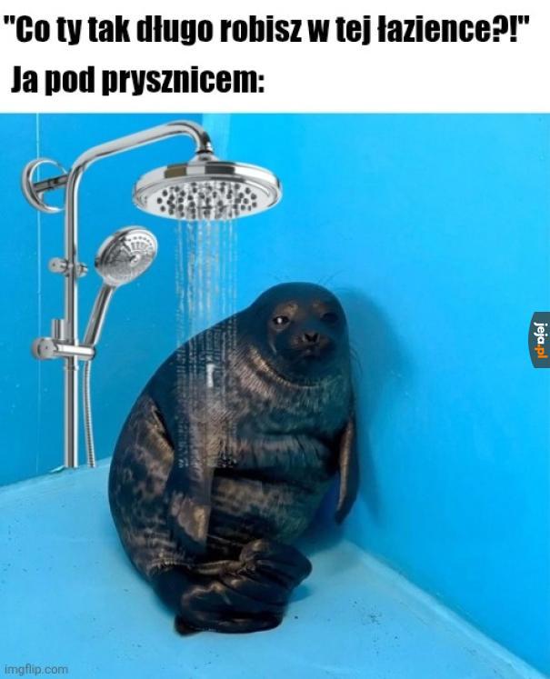 Myślę nad wyborami, które mnie tu doprowadziły
