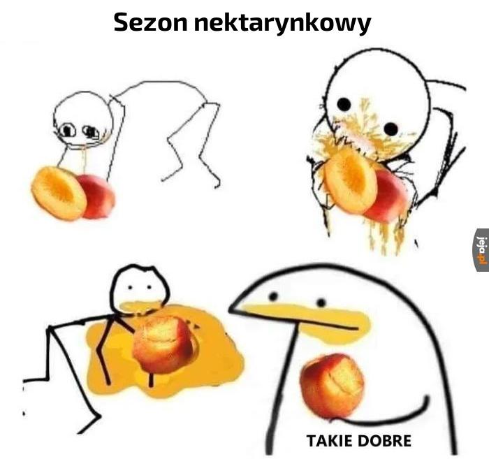 N e k t a r y n k i