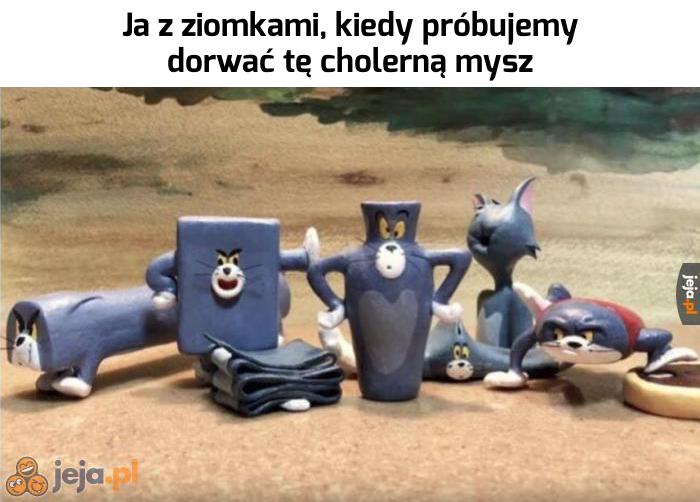 Może teraz się uda...