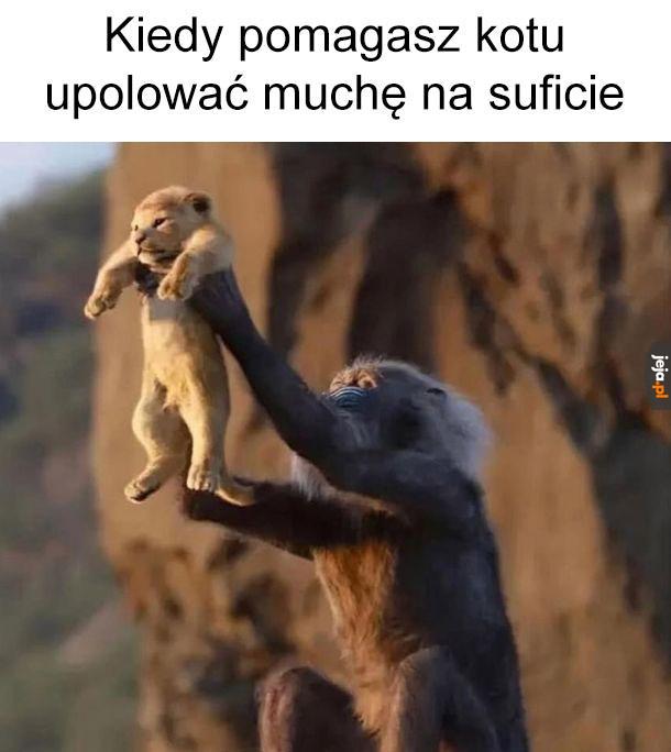 No dalej, poluj!