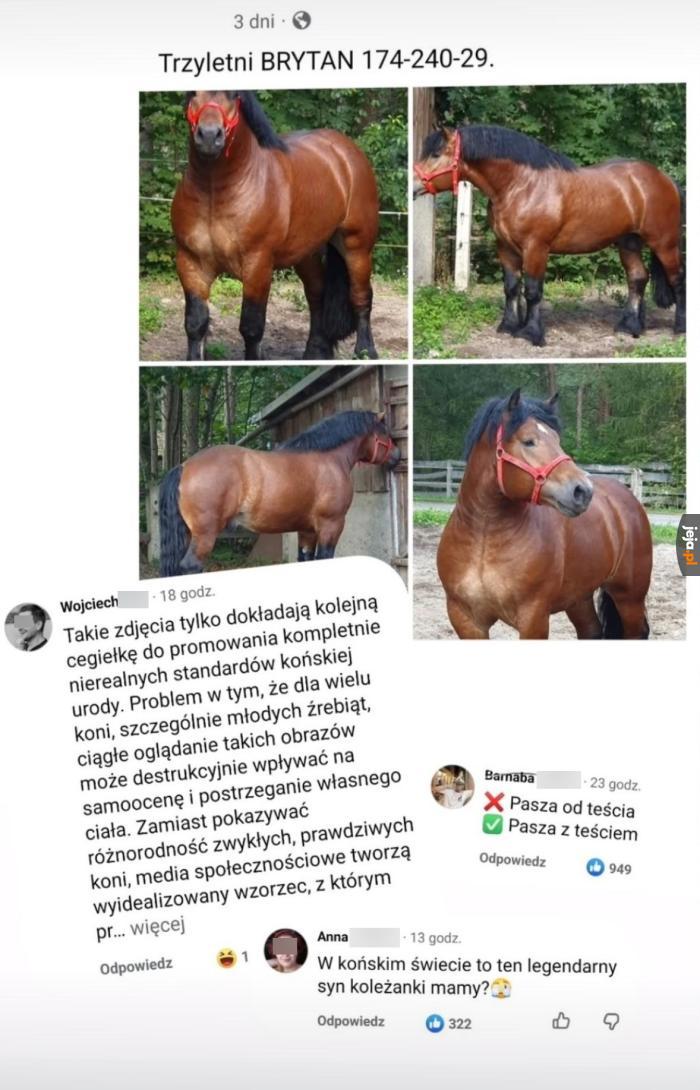 Bez teścia tak nie pójdzie