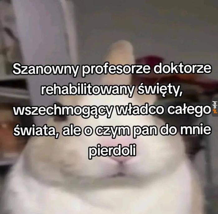 Jak tam na studiach?