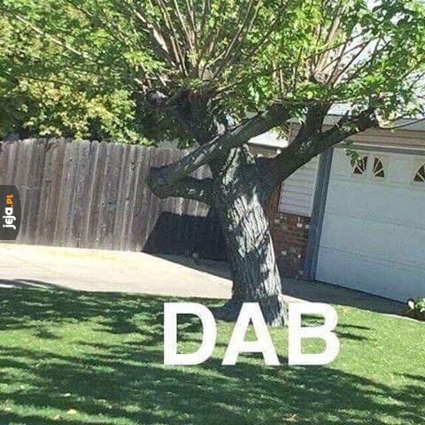 Dab