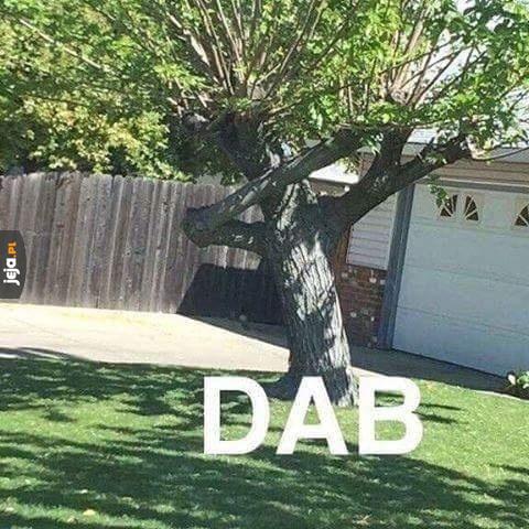 Dab