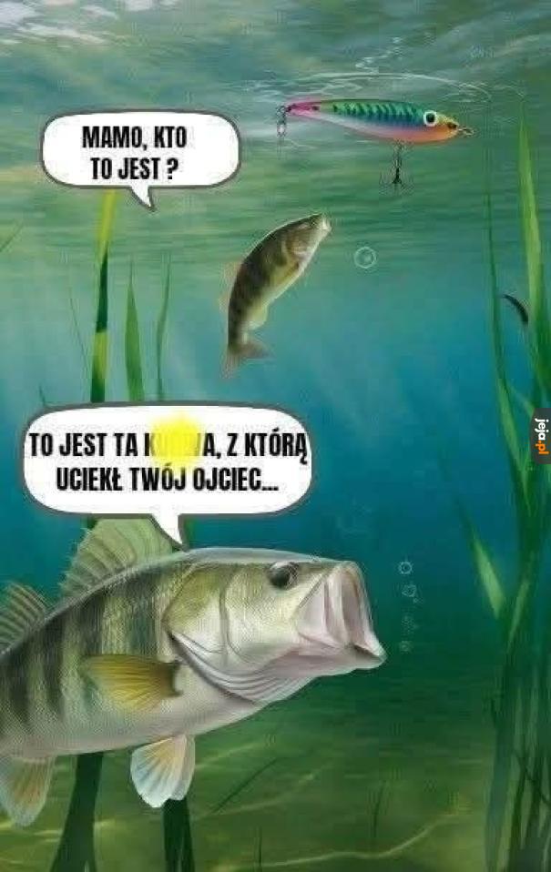 A to flądra!
