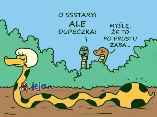 Ssstary, ale dupcia!