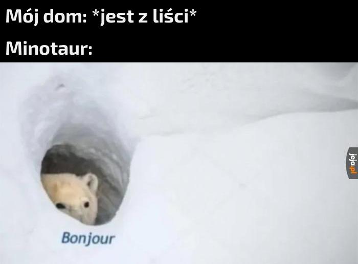Współczuje druidom -.-