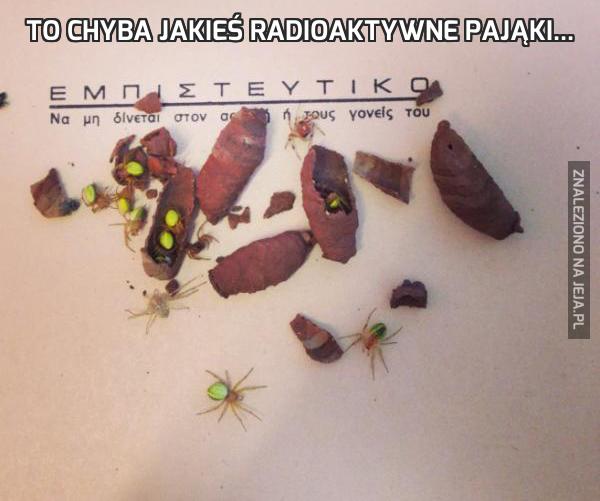 To chyba jakieś radioaktywne pająki...