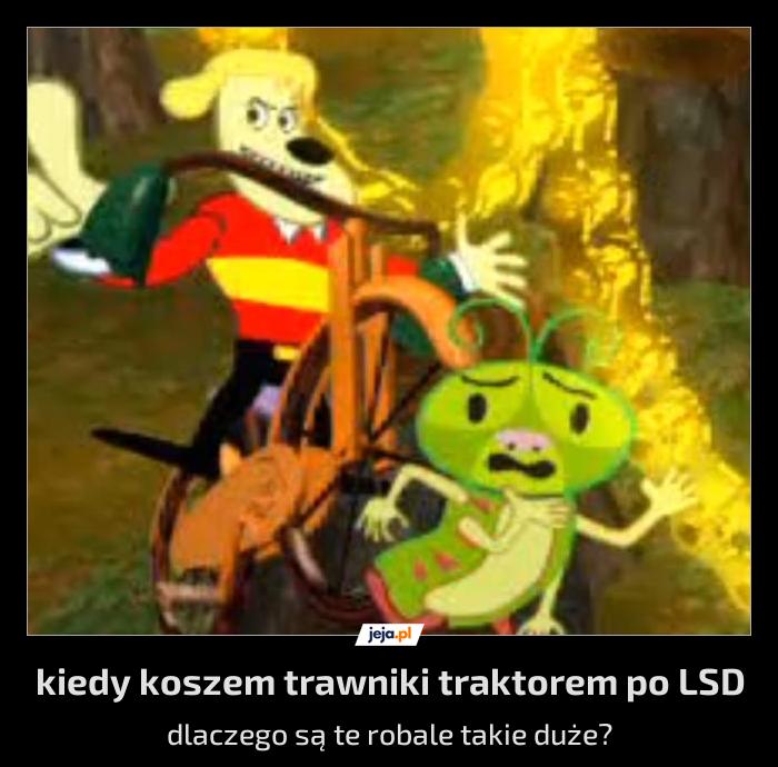 Kiedy koszem trawniki traktorem po LSD
