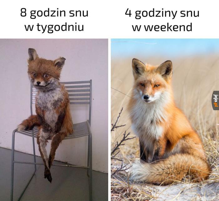Dlaczego?