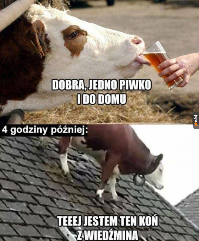 Płotka, gdzieś ty wlazła?