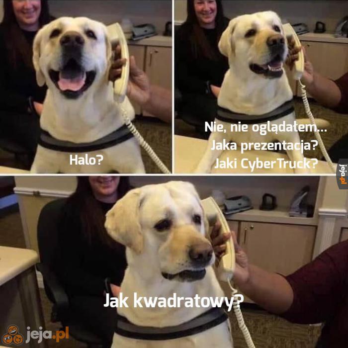 Cały internet o tym mówi