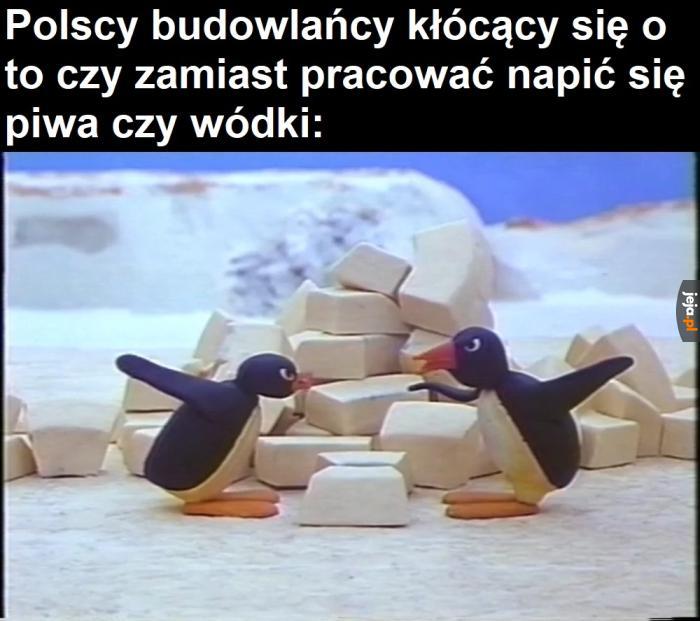 Pingu Posting