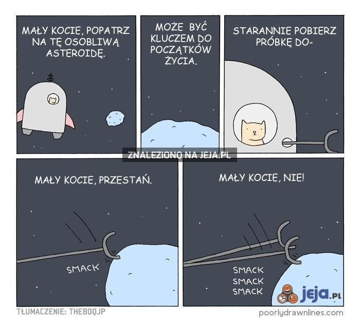 Mały kot i asteroida