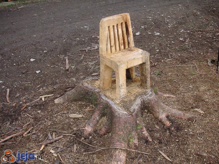 Krzesło wystrugane w drzewie