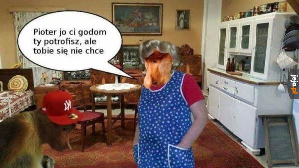 Ile razy już to słyszałem?