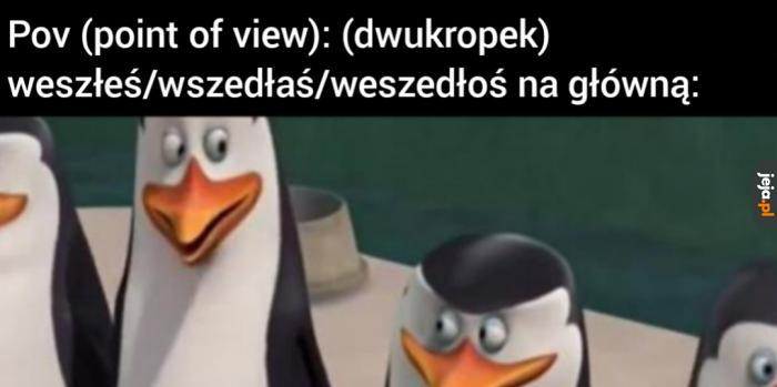 Pt 1