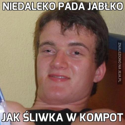 Niedaleko pada jabłko