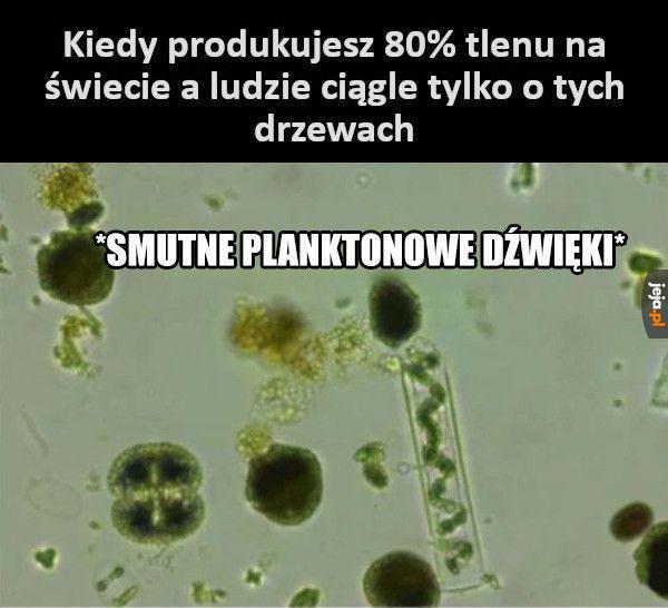 To niesprawiedliwość