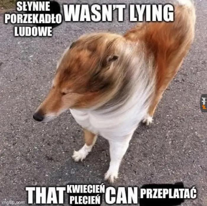 Kwiecień plecień bo przeplata trochę zimy kup zmywarkę