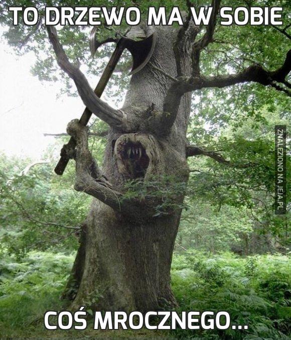 To drzewo ma w sobie