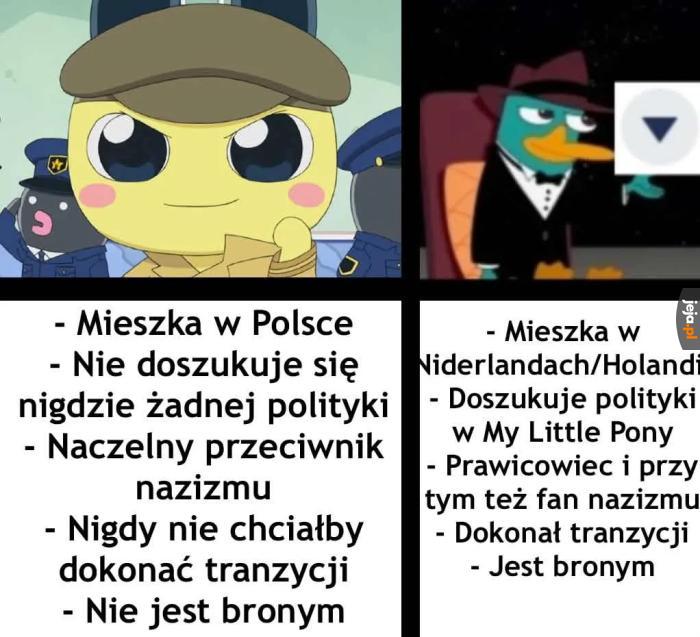 Mem od Mameta. Wstawiony za jego zgodą.