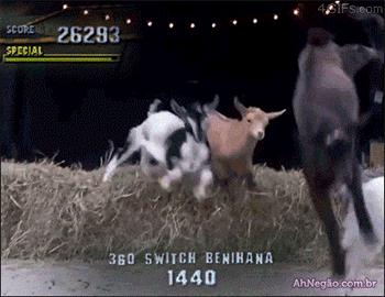 Piękne wykonanie!