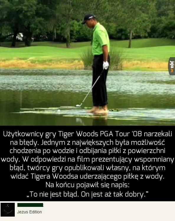Tiger Woods PGA Tour '08