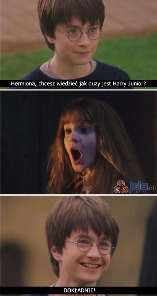 Harry Junior