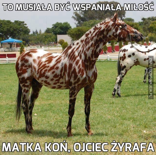 To musiała być wspaniała miłość