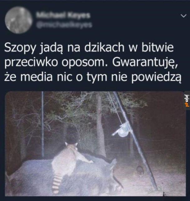 Media zajmują się głupotami, a milczą o tym co ważne